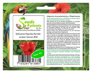 40x Seltsame Paprika Rarität verformt sich Pflanzen - Samen #58