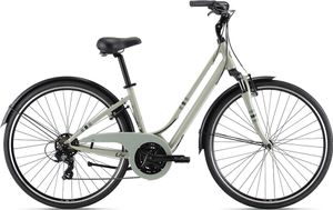 Liv Flourish Fs 3 2024 Fahrrad Grau M Grau M