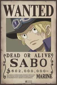 Poster One Piece Wanted Sabo 35x52cm