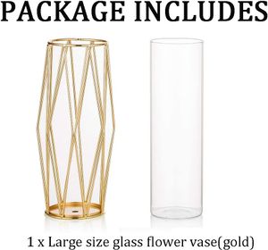 Vase für Pampasgras, hohe Bodenvase aus Glas mit geometrischem Metallständer, Knospenblumentopf (Grob)