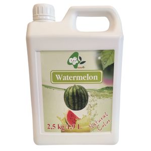SIRUP FÜR BUBBLE TEA 2,5 l KONZENTRAT-SAFT-Wassermelone