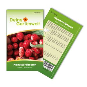Monatserdbeeren Rügen Samen - Fragaria vesca - Erdbeersamen - Obstsamen - Saatgut für 70 Pflanzen