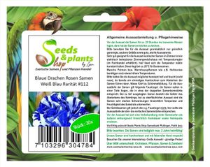 20x Weiß Blaue Drachen Rosen Blumen Pflanzen - Samen #112