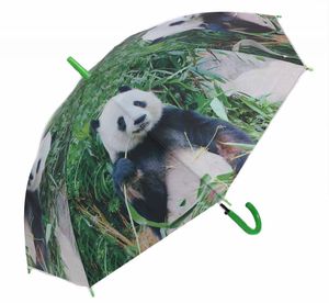 Regenschirm Pandas, Stockschirm Schirm Tiere Schirme, Pandabären
