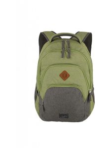 Travelite Basics Rucksack mit Laptopfach Schulrucksack Daypack Backpack, Farbe:Grün Grau