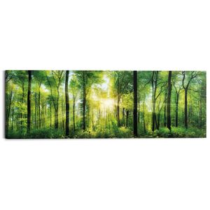 Wandbild Deco Block Sommerwald Natur - Sonnenstrahlen - Bäume
