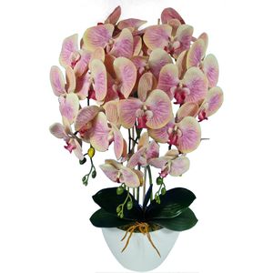 Damich umelá orchidea, čajovník, z gumy, 3pgrz