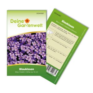 Blaukissen Violett Samen - Aubrieta cultorum - Blaukissensamen - Blumensamen - Saatgut für 100 Pflanzen
