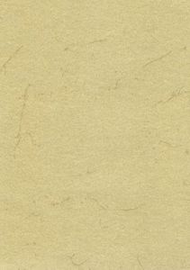 Elefantenhaut 50 Blatt 190g/m² DIN-A4 chamois
