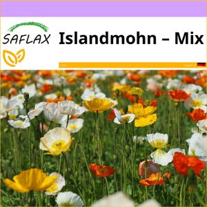 SAFLAX - Islandmohn – Mix - Papaver nudicaule - 8000 Samen