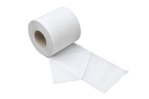 CleanSV© Toilettenpapier 2 lagig, 192 Rollen x 250 Blatt, recycling
