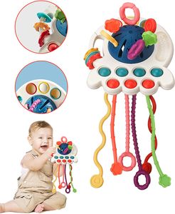 Sensorisches Baby Spielzeug, Silikon Zugschnur Spielzeug für Babys in Lebensmittelqualität, Montessori Spielzeug für 1 Jahr