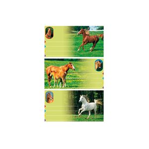 Buchetiketten Pferde-Fotos, ca. 7,5x4,5 cm, 3x3 Etiketten