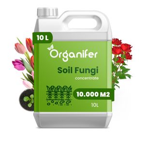 Grzyby Glebowe Koncentrat Grzyba Glebowego – 10 l na 10000 m2 - Organifer