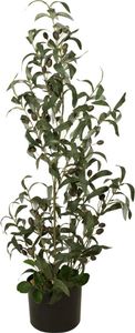 EUROPALMS Olivovník, umelá rastlina, 90 cm