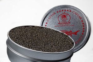 Sepehr Dad Siberian Kaviar | Caviar vom sibirischen Stör | Zucht EU | 125g
