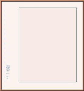 Lindner 802c Blanko-Blätter im LINDNER Blattformat 272mm x 296mm mit 18-Ring-Lochung