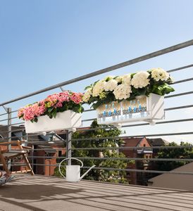 LECHUZA-Pflanzgefäß BALCONERA Color 80 Weiß | Balkonkasten mit Bewässerungssystem, Wasserstandsanzeiger und 2 Pflanzeinsätzen | matte Oberfläche | 79 x 19 x 19 cm | 15680
