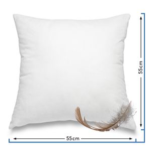 WOMETO perie vankúš vankúš 100% perie 55x55 cm - 750g výplň vankúš poťah bavlna biela I vnútorný vankúš / výplň vankúš / výplň vankúš / malý pohovka vankúš (veľa veľkostí k dispozícii)