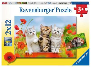 Katzen auf Entdeckungsreise Ravensburger 07626