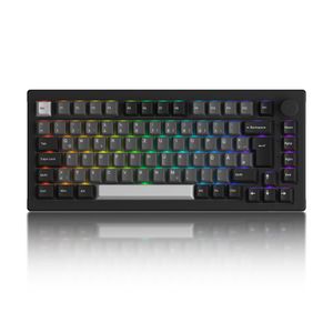 Akko 5075B Plus RGB Gaming Mechanische Tastatur 75% Deutsches QWERTZ-Layout (Schwarz & Silber, Linearer Schalter)