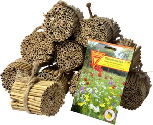 dobar Schilfrohrhalme-Set 1000 Stk., Füllmaterial für Insektenhotels, Nisthöhlen für Wildbienen, 9 cm lang dobar Schilfrohrhalme-Set 1000 Stk., Füllmaterial für Insektenhotels, Nisthöhlen für Wildbienen, 9 cm lang