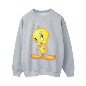 Looney Tunes - Mikina pro ženy "Tweety Standing" BI24473 (XL) (šedá)