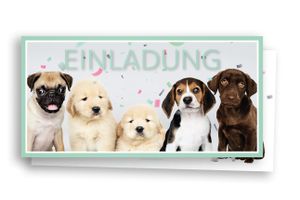 Friendly Fox Welpen Einladung, 12 Hunde Einladungskarten zum Kinder-Geburtstag Junge Mädchen, Einladung Hunde Geburtstag mit Briefumschlag, DIN lang