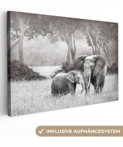 OneMillionCanvasses® - Leinwandbilder - 150x100 cm, Elefant - Tiere - Natur - Schwarz und weiß, Wandbilder Kunstdruck Wanddekoration