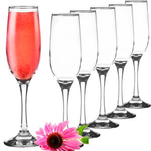 PLATINUX Stabile Sektgläser Champagnergläser Set 6 Teilig max. 210ml Prosecco Gläser Sektkelche aus Glas massiv Sektglas