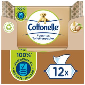 Cottonelle Feuchtes Toilettenpapier Mein Spa Kaschmir & Shea Butter 12 x 42 Stk.