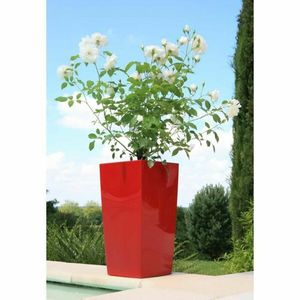 Blumentopf Riviera Rot Kunststoff Quadratisch Rund Modern 29 x 29 x 52 cm 29 x 29 cm