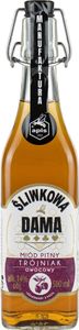 Trojniak Owocowy sliwkowa Dama 500 ml | Met Honigwein Metwein Honigmet | 500 ml | 14% Alkohol | Apis | Geschenkidee | 18+