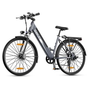 26'' E-Bike, ElektrofahrradTrekkingrad e-City Fahrrad  K26W 36V Lithium Batterie, 250W Motor, EU-konformes grau