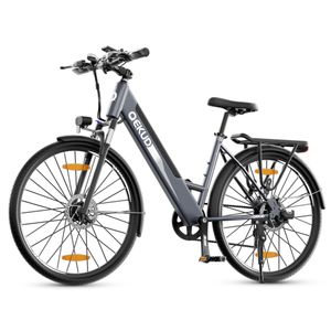 26'' E-bike, elektrobicykelTrekingový bicykel e-City bike K26W 36V lítiová batéria, 250W motor, vyhovuje EÚ, sivá farba