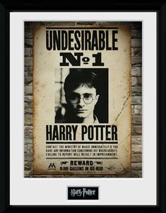 GB Eye poster im Rahmen Harry Potter Hogwarts Nr. 1 30 x 40 cm