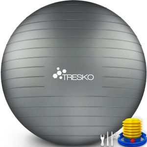 TRESKO Gymnastikball (Grau, 65cm) mit Pumpe Fitnessball Yogaball Sitzball Sportball Pilates Ball Sportball