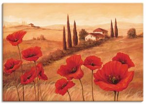 ARTland Leinwandbilder Mohnblumen in der Toskana Größe: 70x50 cm