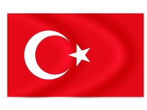Länder Flaggen WM Fahnen WM-Fanartikel Maße 90x150 cm, Modell wählen:Türkei