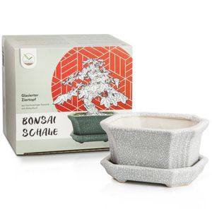 Bonsai Schale aus Keramik mit Untersetzer in Grau - Bonsai Topf eckig für die perfekte Inszenierung Ihres Zimmerbonsais - 11 x 6,5 x 9 cm