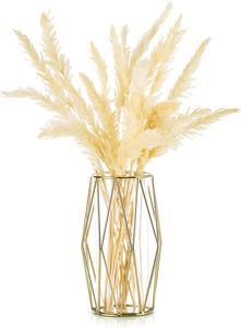 Goldvase mit geometrischem Metallrahmen Goldene Vase Große Vase Pampasgras Moderne Große Vasen (Klein)