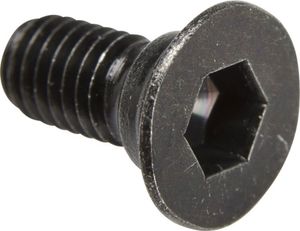 SHIMANO M5x10, Schraube, grau, Y41704030 SHIMANO M5x10, Schraube, grau, Y41704030