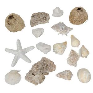 Dekoracja ściółki MARE naturalna dekoracja asortyment muszle naturalne gąbki rozgwiazdy morskie Dekoracja ściółki MARE naturalna dekoracja asortyment muszle naturalne gąbki rozgwiazdy morskie