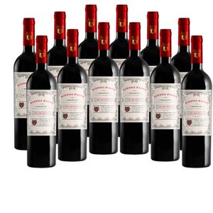 12er Vorteils-Weinpaket - Doppio Passo Primitivo Salento 2019 - CVCB