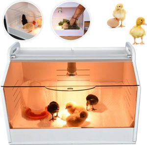Elektrisch Brutmaschine Küken Eier Geflügel Brutinkubator Brutapparat Inkubator 220V mit Thermometer