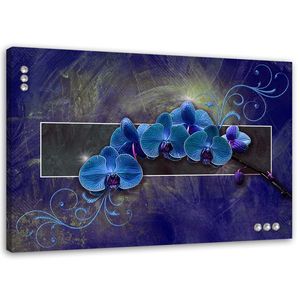 Feeby Leinwandbild Wandbilder 100x70 Horizontal Blumen Blau Orchideen Blume