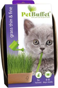 Baza Seeds Pet Buffet Gras Thin & Fine für Kätzchen
