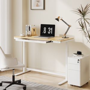 Flexispot Elektrisch Höhenverstellbarer Schreibtisch mit Touch Funktion & USB, Elektrischer Schreibtisch (Maple)