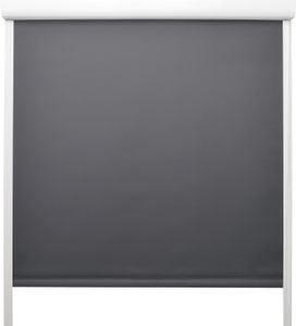 Sol Royal PVC Kassettenrollo SolReflect K24