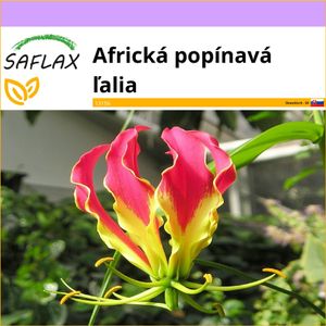 SAFLAX - Africká popínavá ľalia - Gloriosa rothschildiana - 15 Semená